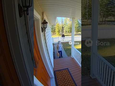 Dog Saves Elderly Woman from Moose Attack! 🐕😱 | ¡Perro héroe salva a su dueña de un alce gigante!