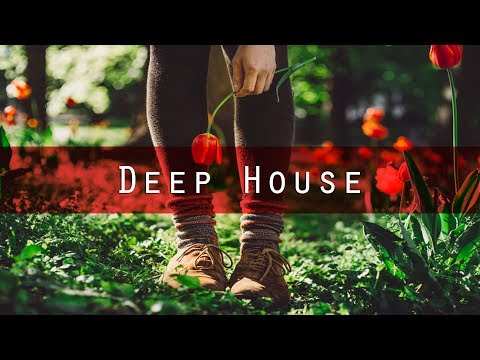 Lars Beck & Henri Purnell ft. Zekt - Silent Games (UOAK Remix) [Deep House I Selected Sounds] - UCjXL7lE4LZWh8HvNqg-alhg