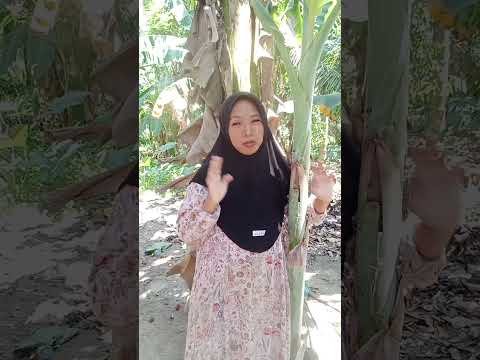 tung tung sahur pamit #funny #comedy #shorts