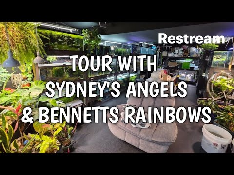 The fish BUZZ EPISODE 16 Turn your videos into live streams with https_//restream.io

We will be going on a tour of SYDNEY'S 