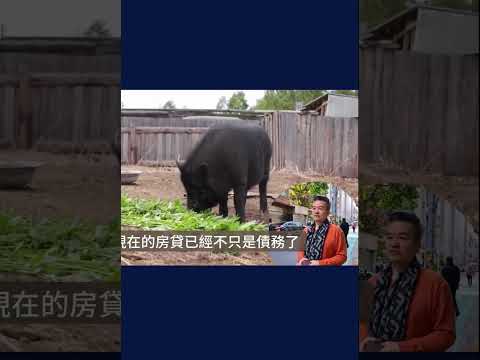 【 銀行隱藏 30 年的秘密 】銀行不是對你好！40 年房貸其實是「現代賣身契」？