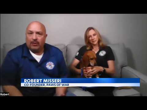 "Paws of War" <strong>finds</strong> homes for research beagles in western NY