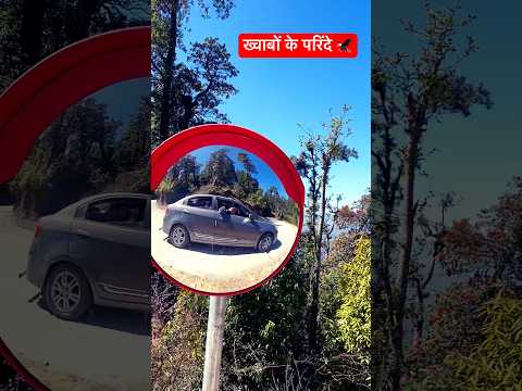 ख्वाबों के परिंदे #shorts #ytshorts #to Mukteshwar #chillout with friends in nature⛰️ #the great day