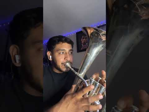 Brillarosa - Fuerza Regida Charcheta #shortsviral #regionalmexicano #charcheta #fuerzaregida cover