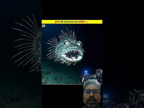 fishing 🎣 #facts #trending #viral #shortsfeed #viralvideos #tranding #cartoon #cooking