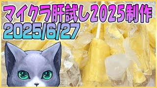 マイクラ肝試し2025ロビーサーバー制作＃25