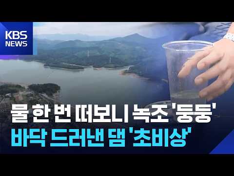 녹조·가뭄 ‘이중고’…식수원 물 확보 비상 / KBS  2026.07.29.
