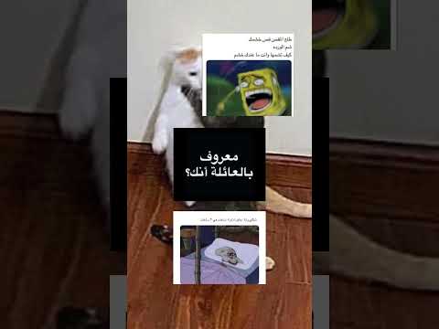 #shorts #btsً #fyp #jungkook #اكسبلور😂