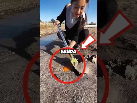 awalnya dikira batu biasa, tapi ternyata.... ‼️#shorts