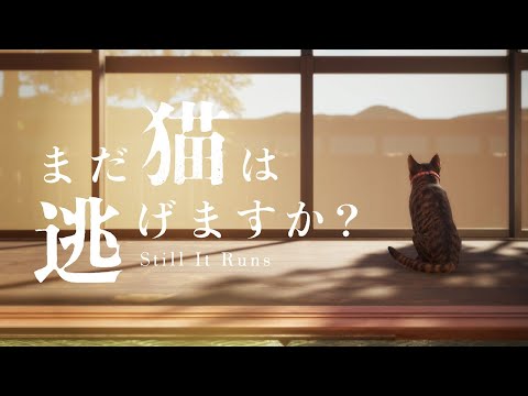 【まだ猫は逃げますか?】 ※猫はひどい目にあいません