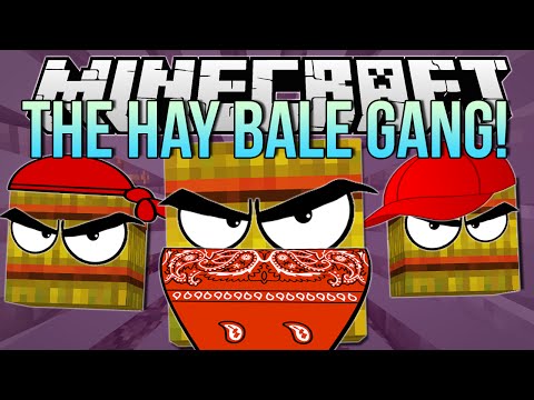 THE HAY BALE GANG | Minecraft: Hide N Seek Minigame! - UCS5Oz6CHmeoF7vSad0qqXfw