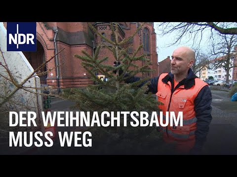 Weihnachtsbäume: Viel Holz für die Müllwerker | Die Nordreportage | NDR Doku