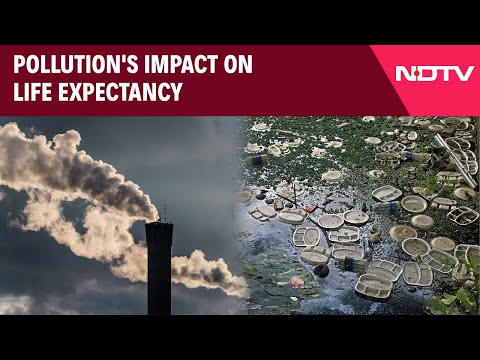 Pollution's Impact On Life Expectancy
