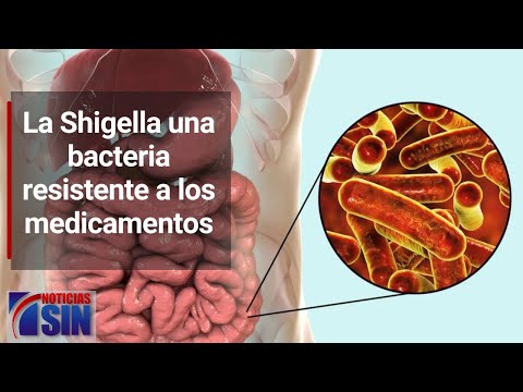 La Shigella una bacteria resistente a los medicamentos