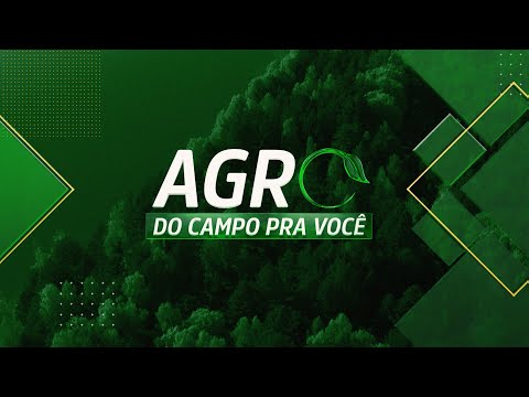 AGRO: DO CAMPO PRA VOCÊ - 11/08/2024