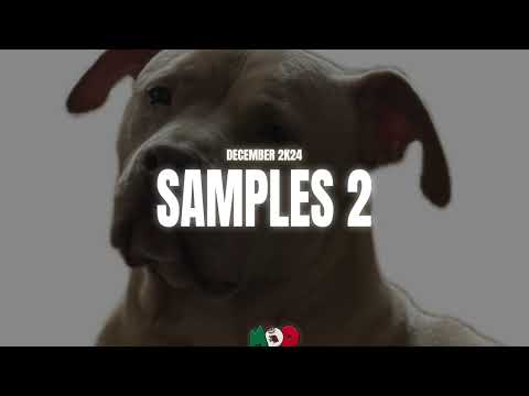 December Samples 2K24 2 - MexikoDro Beats