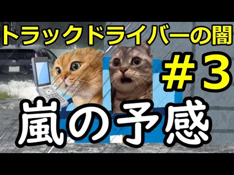 【猫ミーム】トラックドライバーの闇！！助手パート3