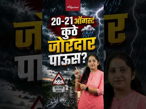 | Maharashtra <strong>Rain</strong> Forecast | #<strong>shorts</strong>