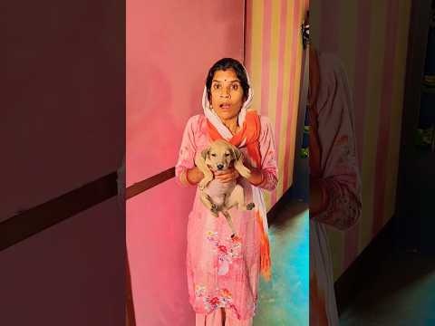 Amaira Ne puppy bacha liya 😲👍✅ #manviormummy #shortvideo #viral