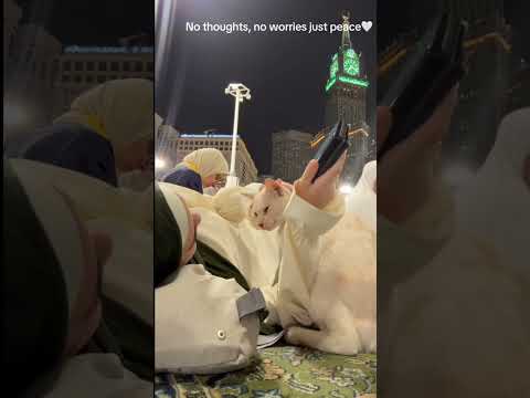 Jan Hazir Hai Mustafa Ke Liye || Slowed Reverb ||