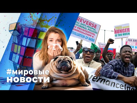 МИРОВЫЕ НОВОСТИ – 02 августа 2024