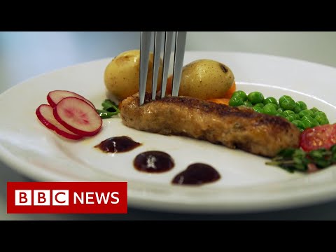 Inside the laboratory growing sausages from animal cells – BBC News