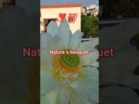 🙏🔥 Nature 's beautiful #gift 💞