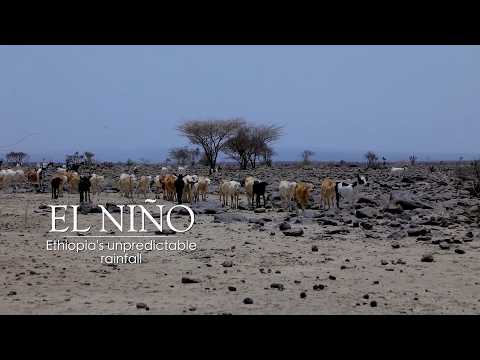 Inside El Nino: Ethiopia's unpredictable rainfall