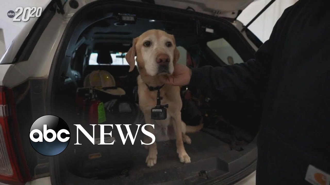 How K-9 detective helped discover a North Dakota house fire was an act of arson