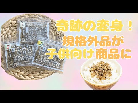 中村かりん　海の蓋物 有限会社 中村海産 | 世界中の魚ぎらいな子どもをゼロにする。