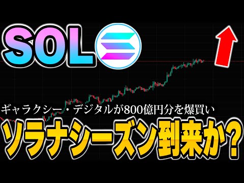 【いま一番熱い！】ソラナを買い忘れると大変なことに....