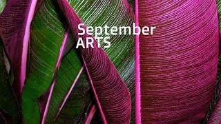 Channel - September Arts