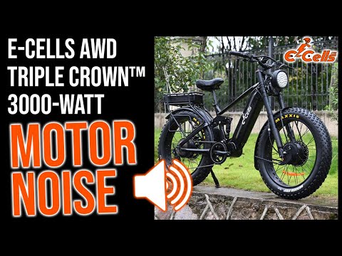 E-CELLS 3000W Triple Crown Motor Noise Explained