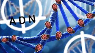 IAN - ADN