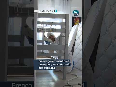 French government holds an emergency meeting amid #bedbugs saga #itvnews #news #paris #france