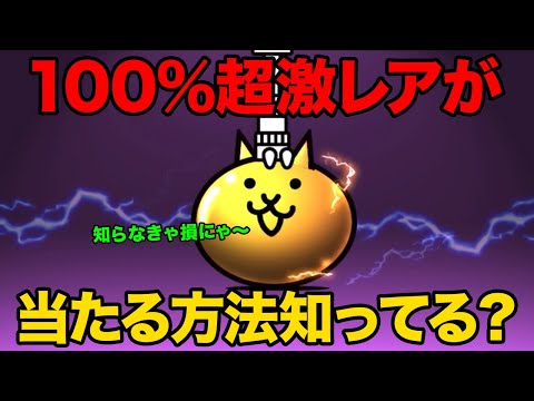 猫の動画サムネイル - 100%超激レアが当たる方法知ってる！？20万円課金したら最強になれる！？プラスワンEXがヤバすぎる！？99%が知らないにゃんこ大戦争の豆知識が面白すぎた！！【ショートまとめ30選】　にゃんこ大戦争