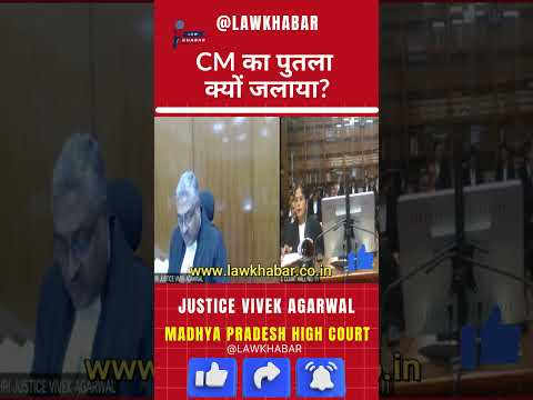 अभिव्यक्ति या अराजकता? हाईकोर्ट ने उठाए सवाल! #news #magistratecourt #chiefjustice