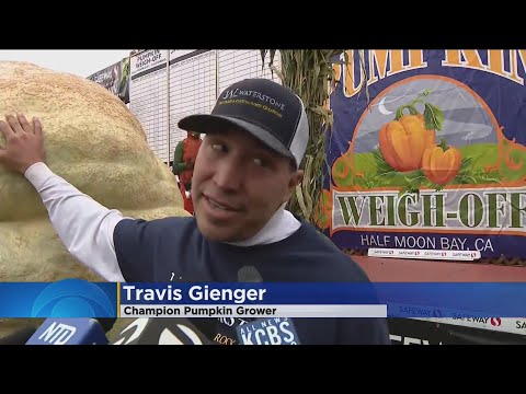 Anoka man sets pumpkin weight record in California with 2,560-pound gourd