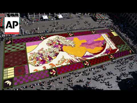 Grand-Place in Brussels blooms into a giant Japanese-inspired flower carpet