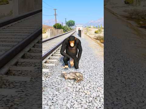 GTA V : <strong>DOGS</strong> TEACH US PURE <strong>LOVE</strong> 🥺| Part 558