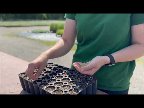 VegTech Danmark - Fra frø til blomstrende eng