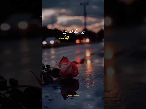 My Feature 🌸🤌🏻 Best lines 💖 #shortsfeed #whatsappstatus #feature #shorts #urdulines