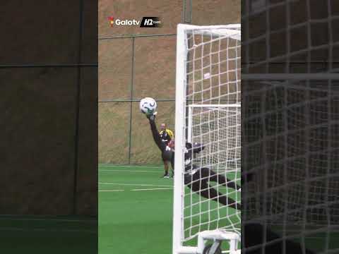 image para ilustrar o artigo