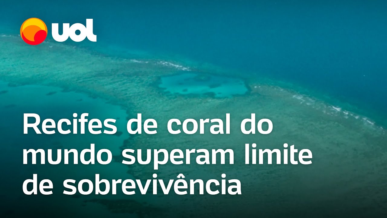 Recifes de coral do mundo ultrapassam limite de sobrevivência ao aquecimento dos oceanos