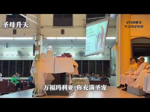 答唱咏 圣母升天-万福玛利亚 你充满圣宠