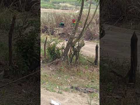 #guerreiros 🫡💪💪🤠