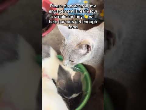 donation link in the Bio for support please 🙏