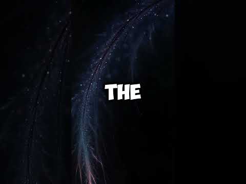 End of Time by Ahrix, Alan Walker and K-391-WhatsApp Status