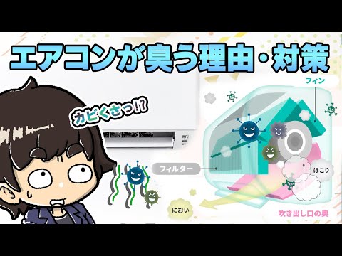 【カビ臭っ！】エアコン使用前は自分でお掃除できる！【なるほど！アースの知恵袋】