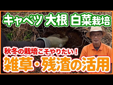 キャベツ・大根・白菜の栽培に役立つ!雑草・残渣の活用法を徹底解説【農園ライフ】【シェア畑】